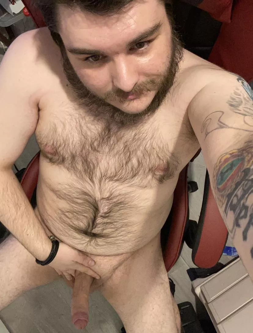 Any ladies wanna take a ride on a thicc hairy dude? I promise you’ll have a good time ;)