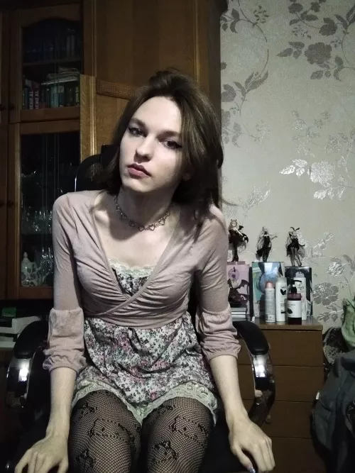 average anime fanboy