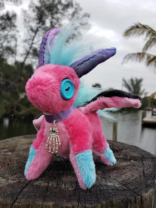 Baby Dragon #2 has hatched!