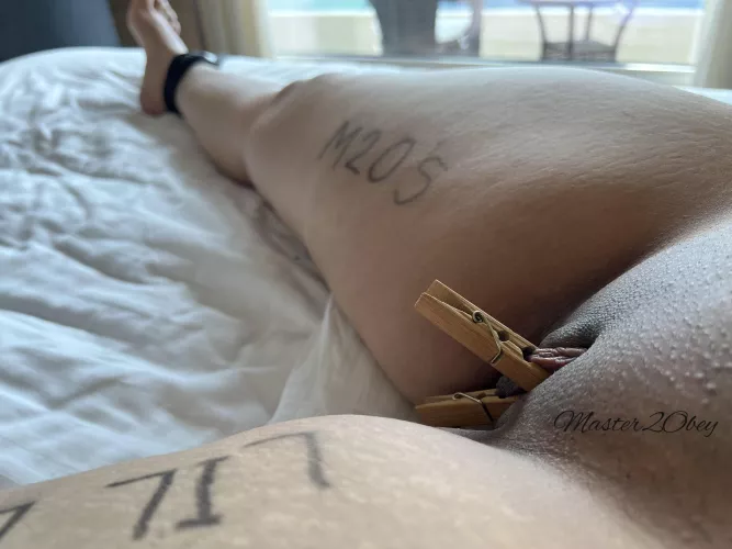 Beginnings....Her first tryst with ropes and clips. [M] [F]