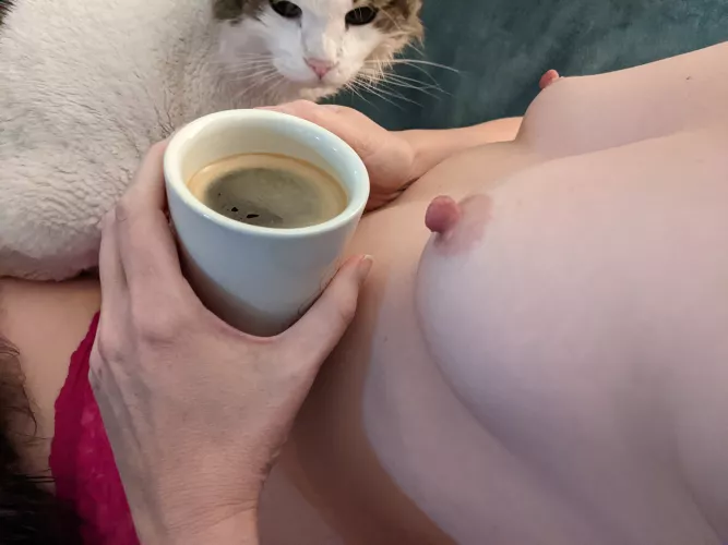 Cat wants coffee too