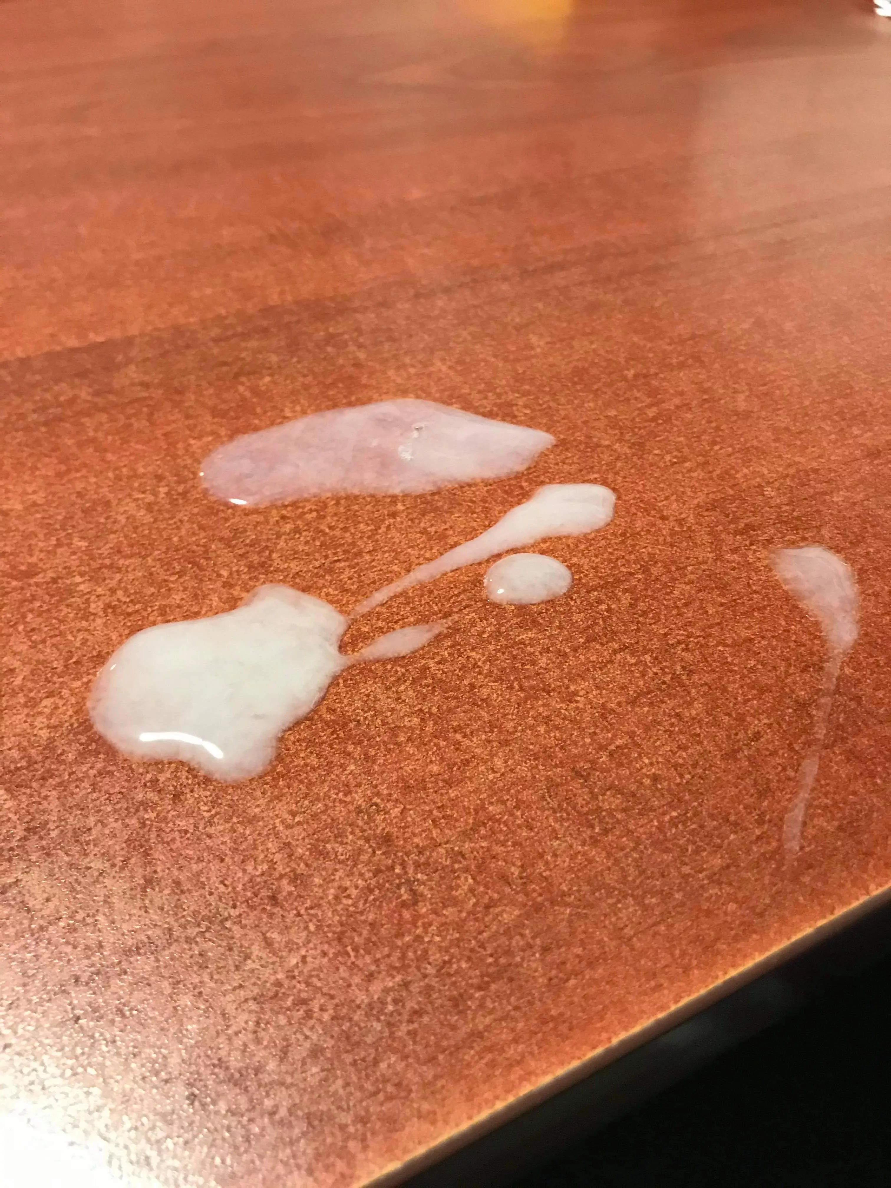 Dm me if you want to watch me cum on kik or tele I just like showing off