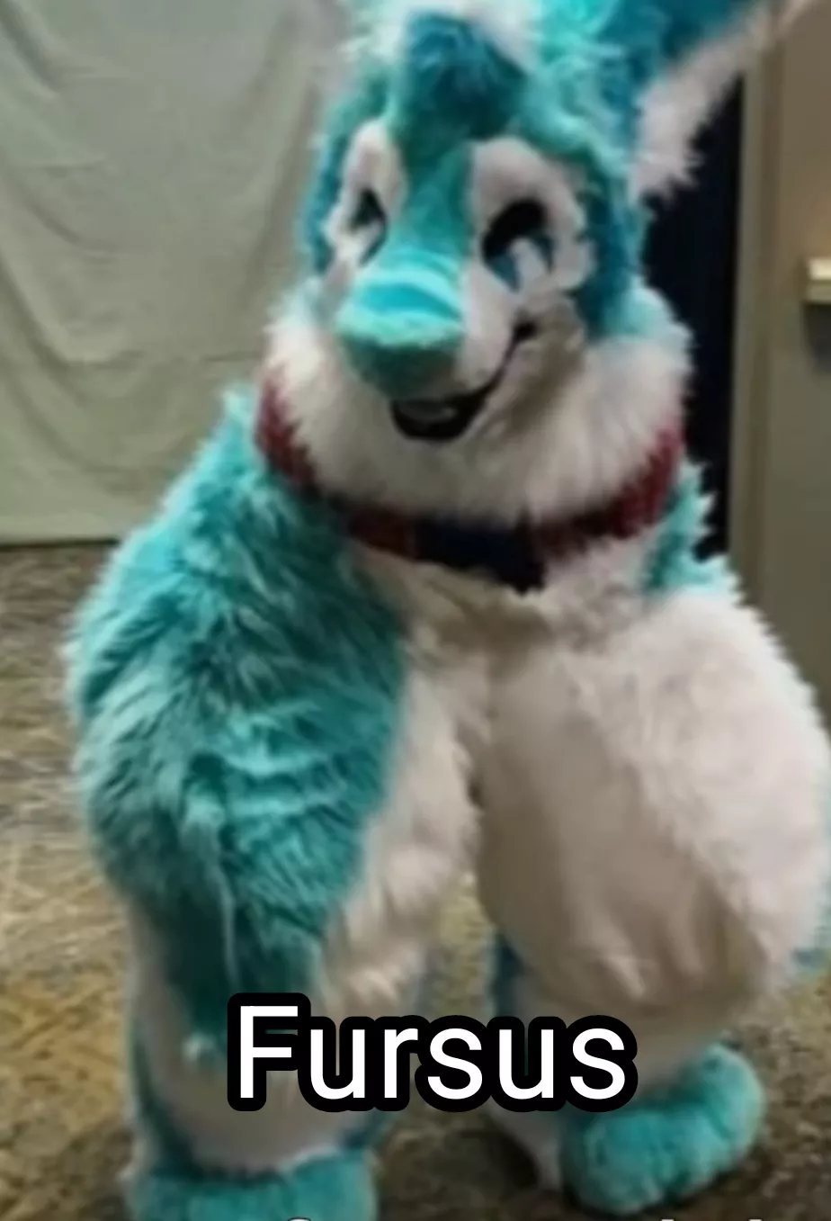 Furry + sus =