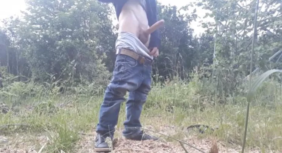 Here we see the anaconda in it’s natural habitat