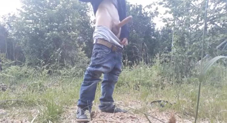 Here we see the anaconda in it’s natural habitat