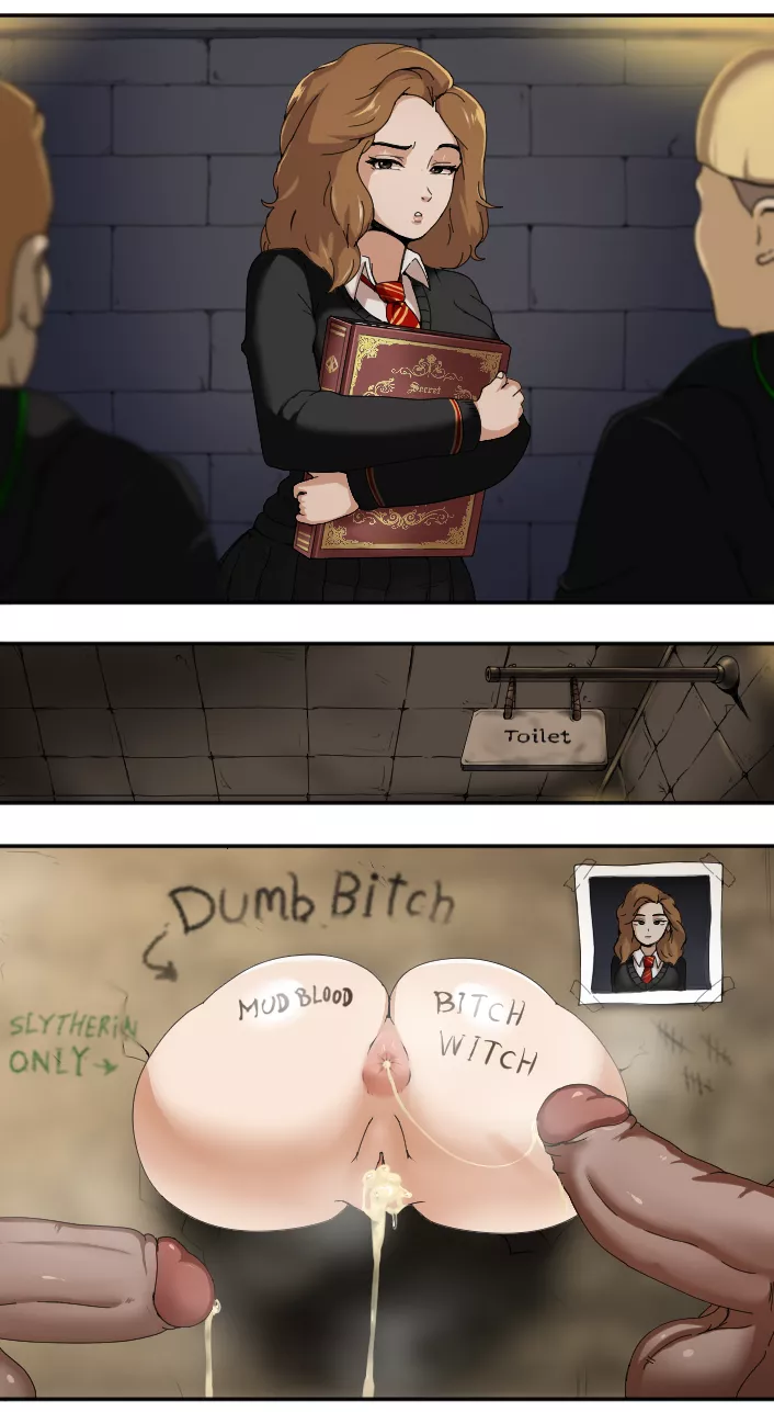 Hermione learned a lot about public service at school (pulpawoelbo)