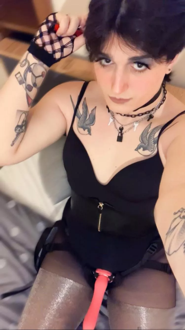 I may be trans but that doesn't mean I don't like wearing a pretty, pink, vibrating dildo from time to time 🦩