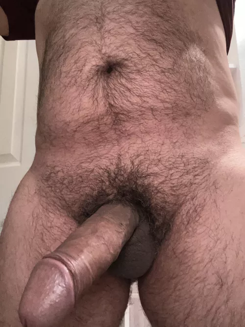 In the mood to Cruise in Miami