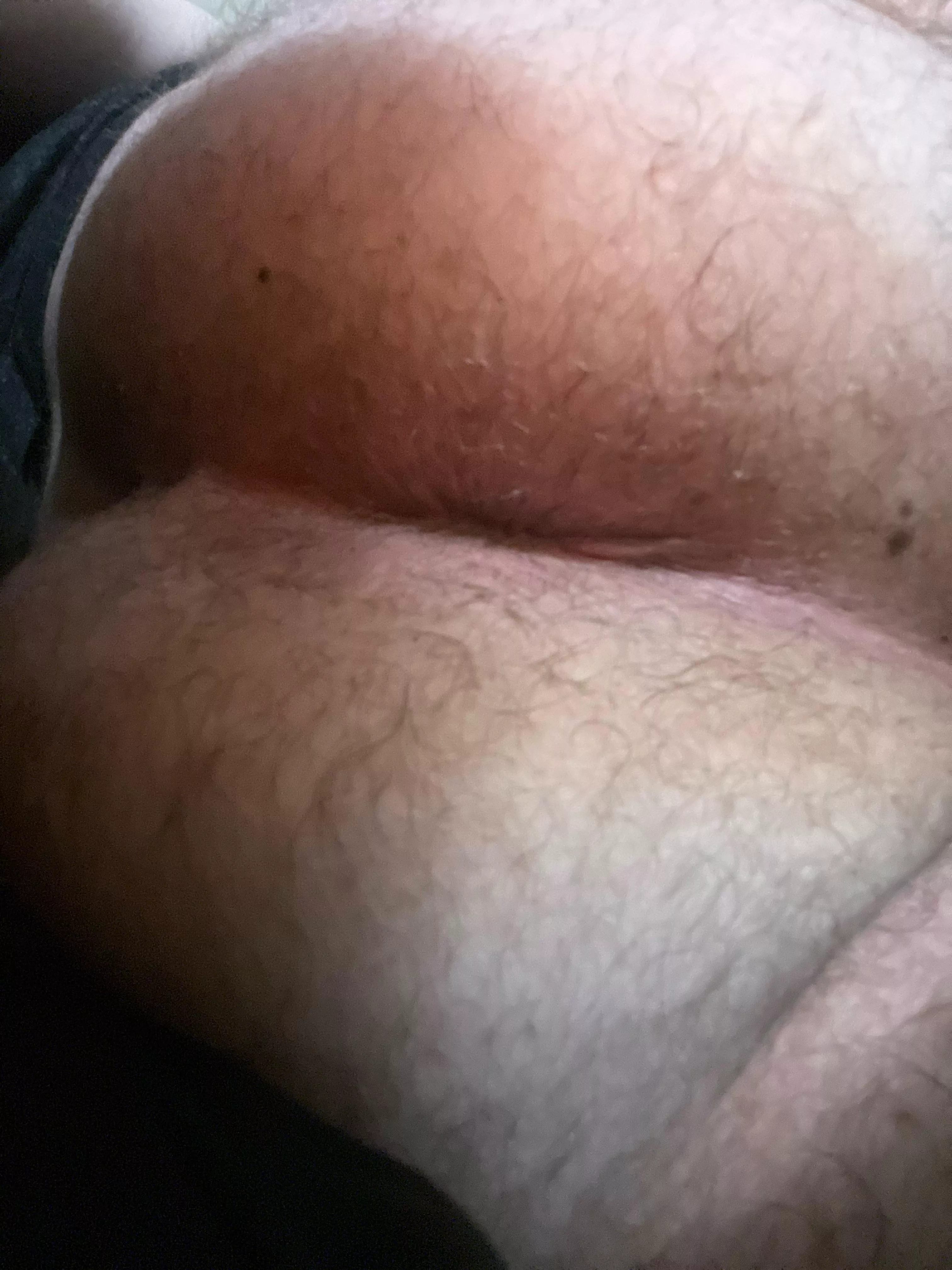 Is it hairy enough?