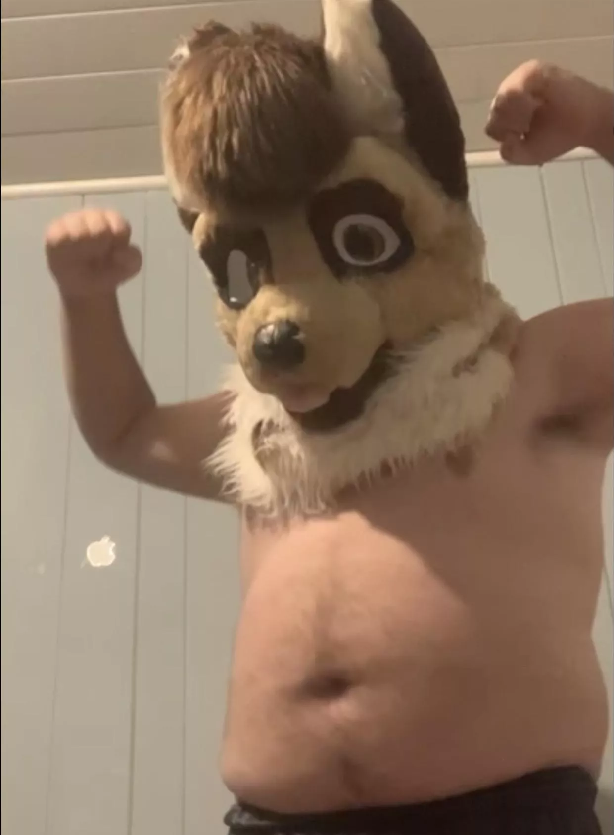 Just had this laying around lol, stupid lil flex