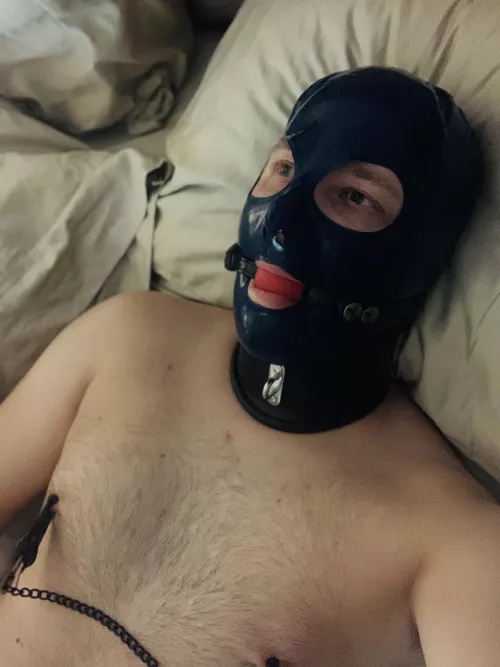 Love relaxing in my latex hood and collar