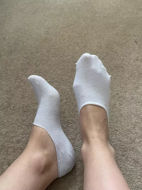 Love these no shows 🙈