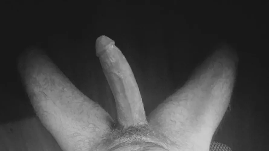 Mornin roosters calling..