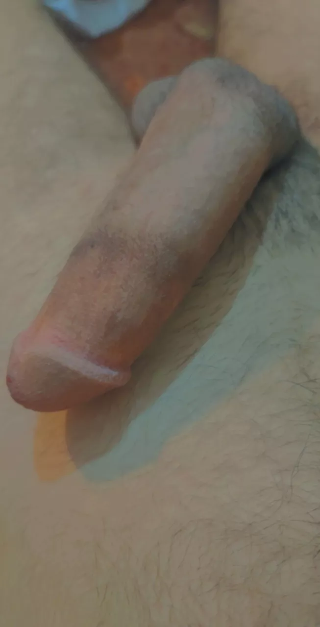 My cock is very lazy and sleeps all the time