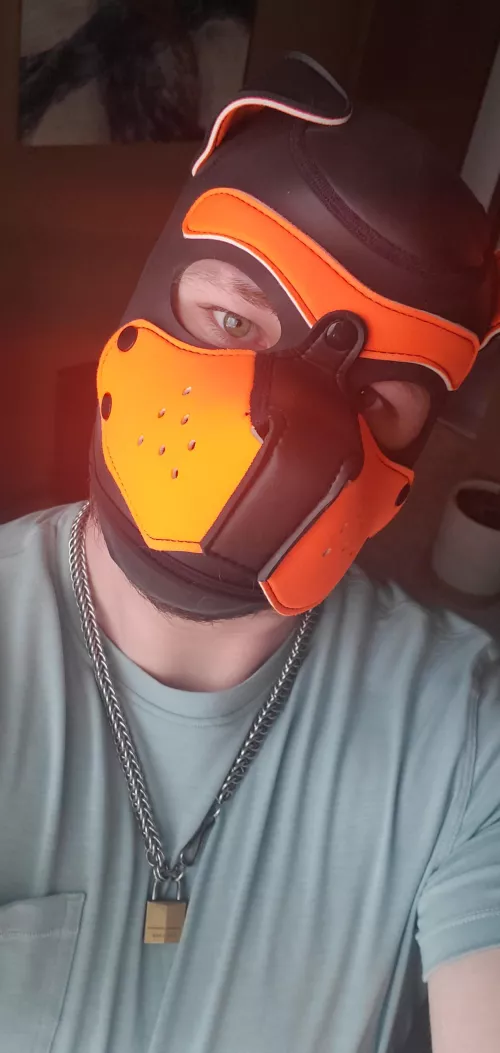 Pup is not having the best day and just wants to get back in bed 😓😴