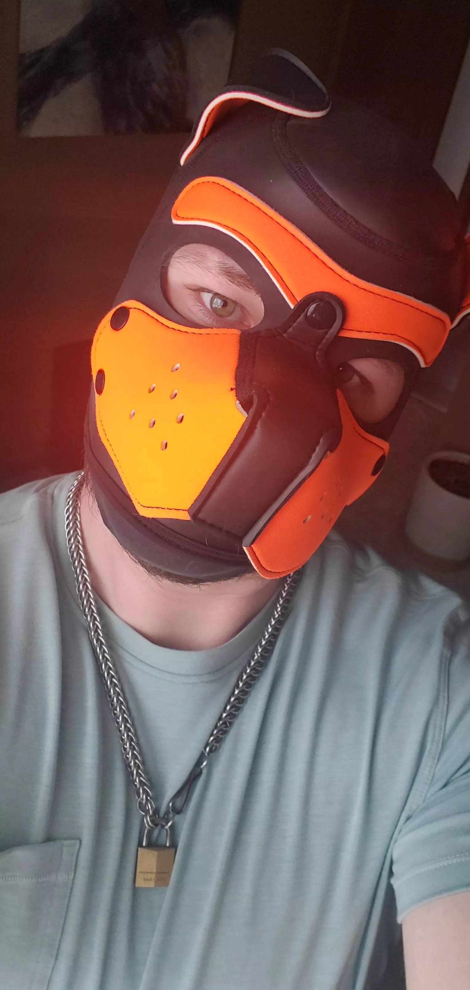 Pup is not having the best day and just wants to get back in bed 😓😴