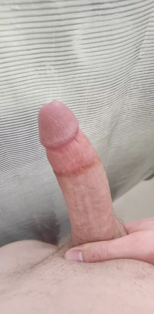 Shower cock