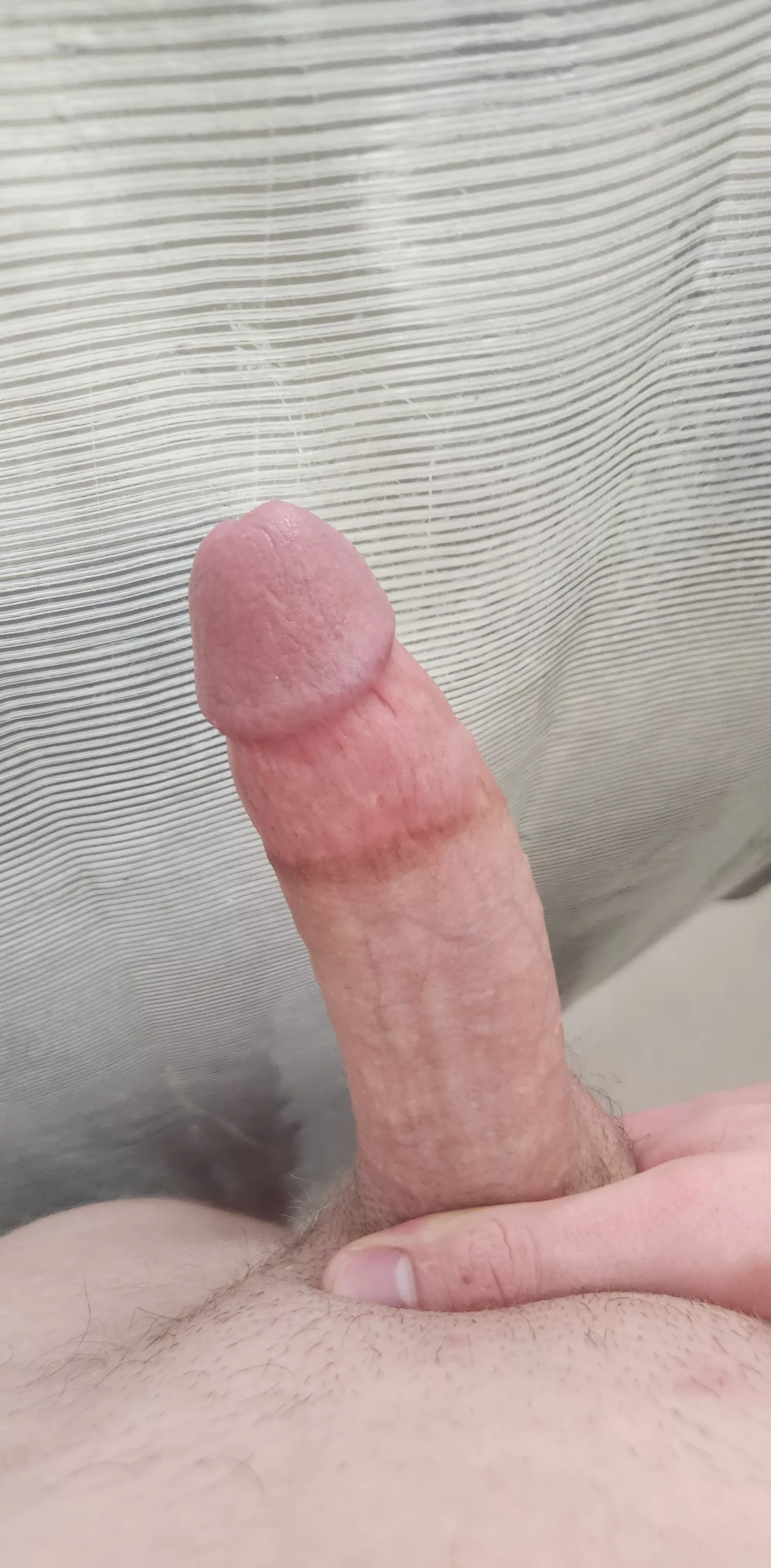 Shower cock