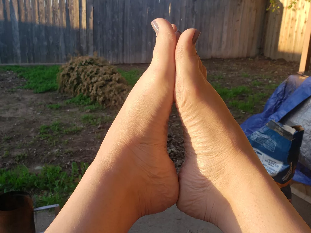 stick your dick in my arches?