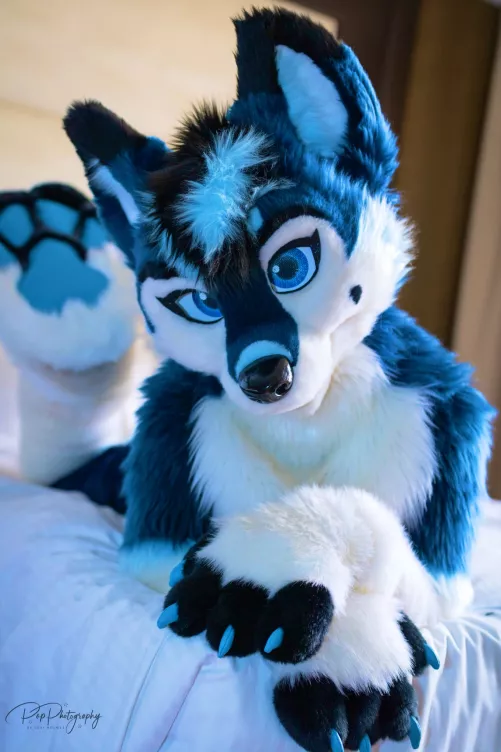 @ThatKrazyK9 on Twitter