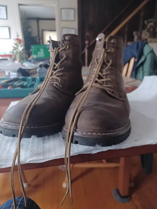 The lace of one of my $30 Ozark Trail boots broke and they're really comfy so I decided to repare rather than replace. How did I repair my $30 boots, you ask? By taking the laces out of by $200 Redwing boots and putting them in these. On a scale from 1 