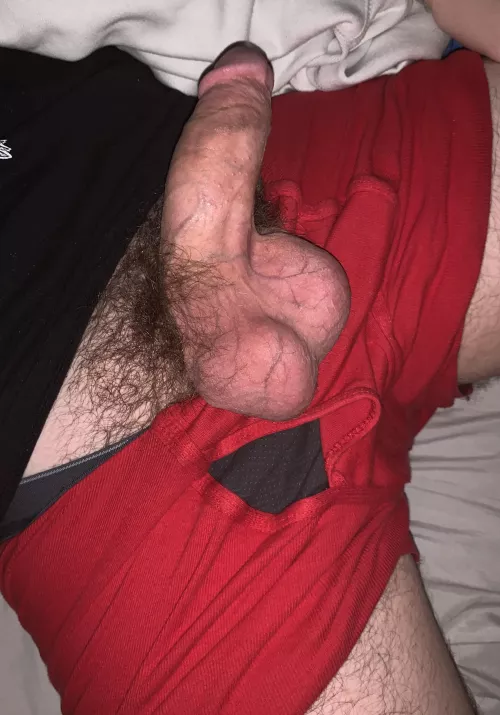 they could use a nice sucking