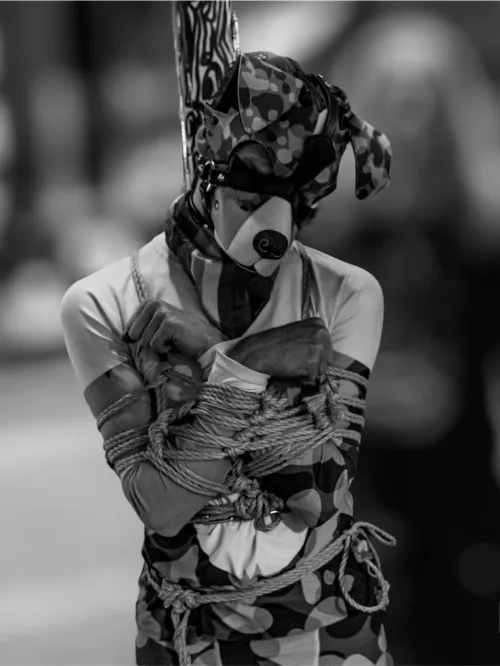 This pups abit tied up right now.