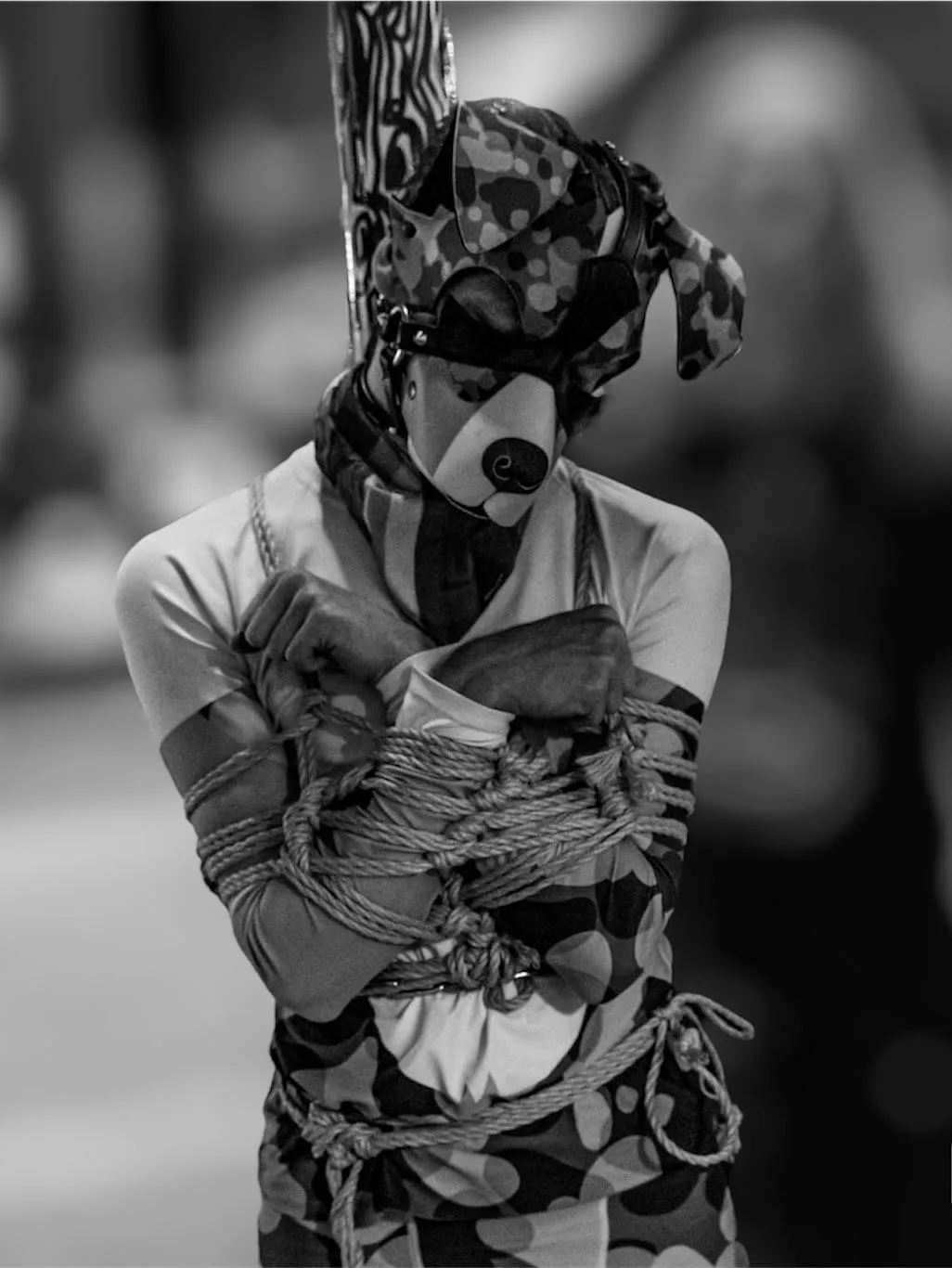 This pups abit tied up right now.