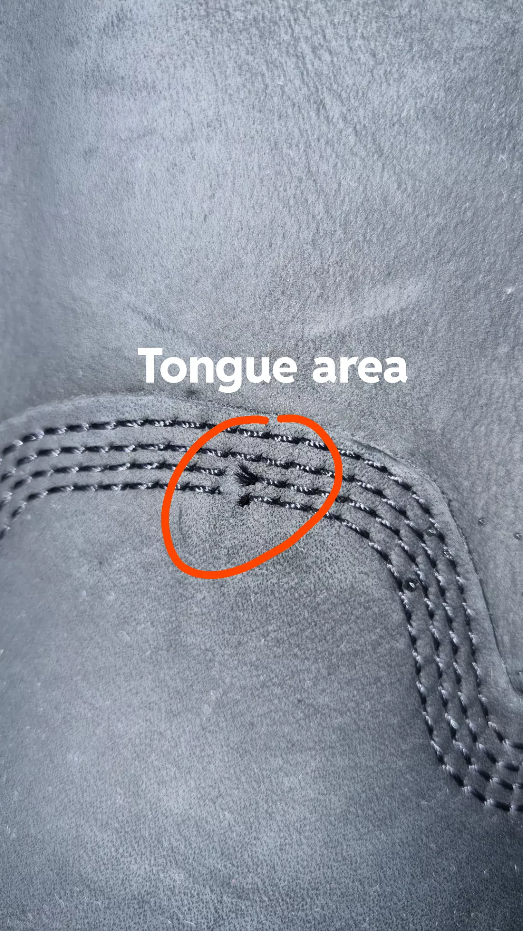 Timberland premium 6