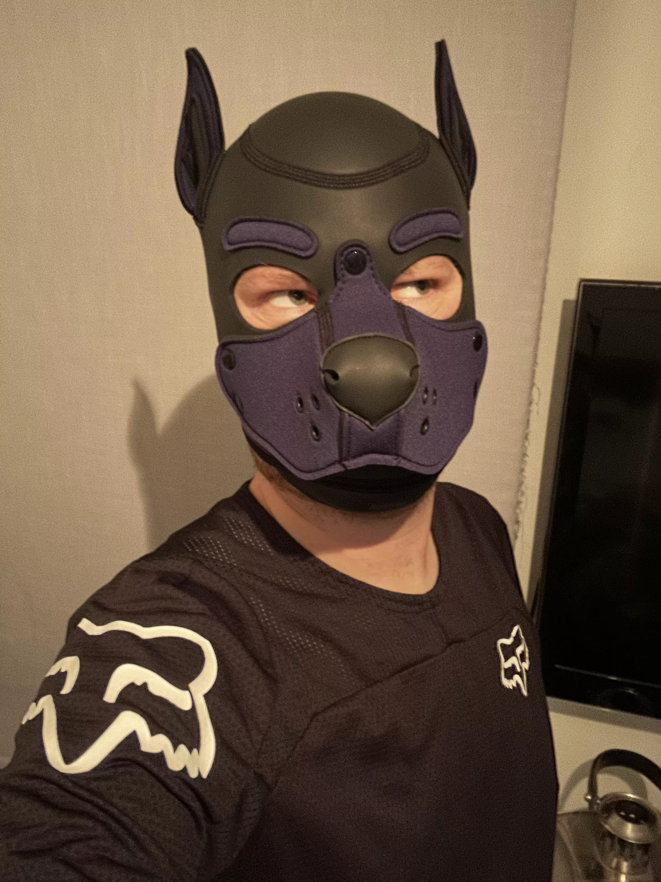 Who wants to go for a ride?