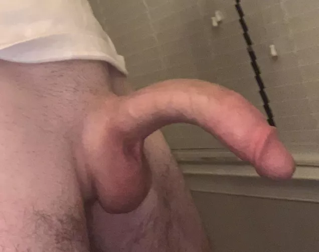 Who wants to tame the snake?