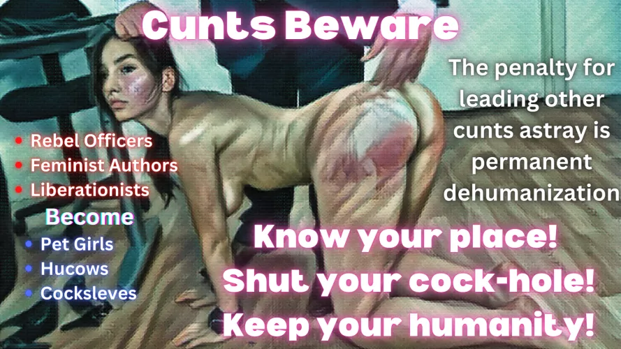 With the success of the FEMD Pilot program, Col. Hamill is bringing his proposal to leadership hoping to make it universal Imperial Policy