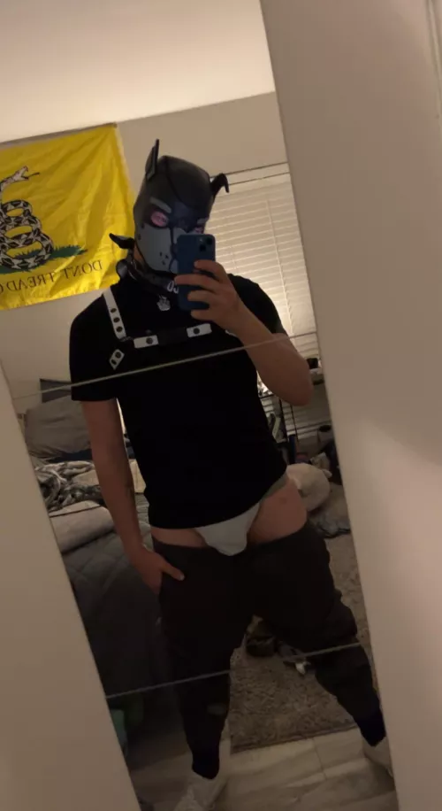 Would you stick your muzzle in my crotch??