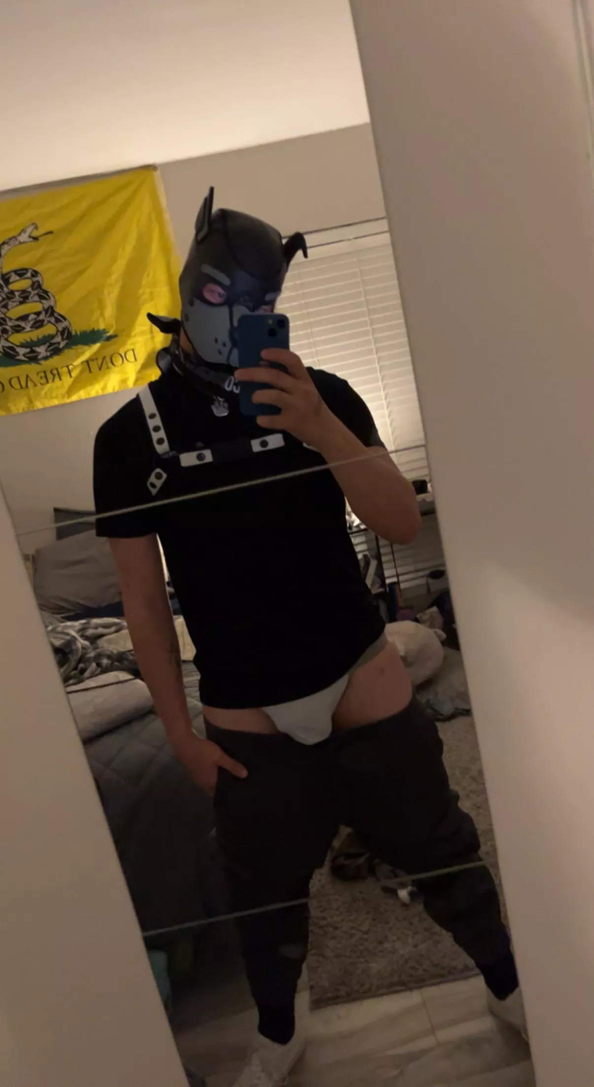 Would you stick your muzzle in my crotch??