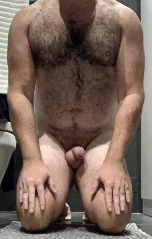 [31] this pup needs his bone to be caged and hole plugged with a tail