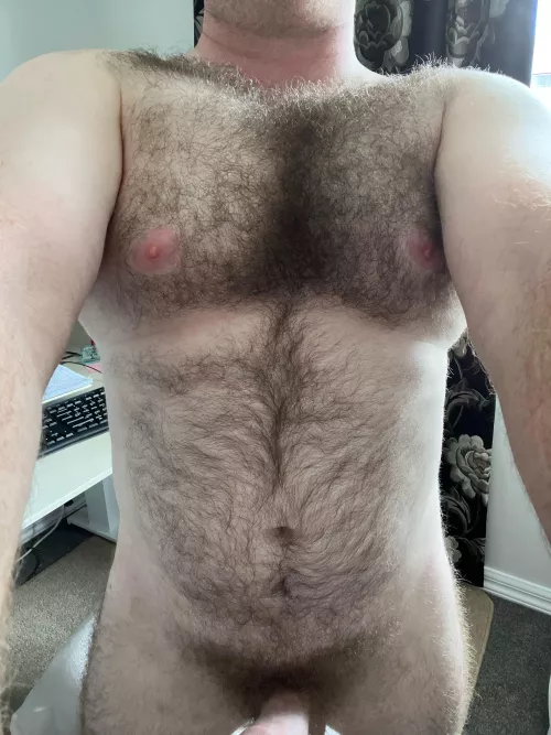 35 uncut hairy dm sc