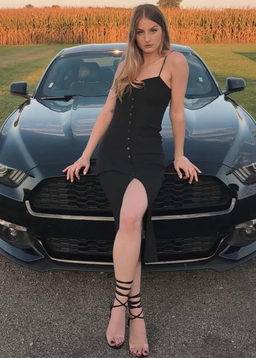 A matching accessory [oc]