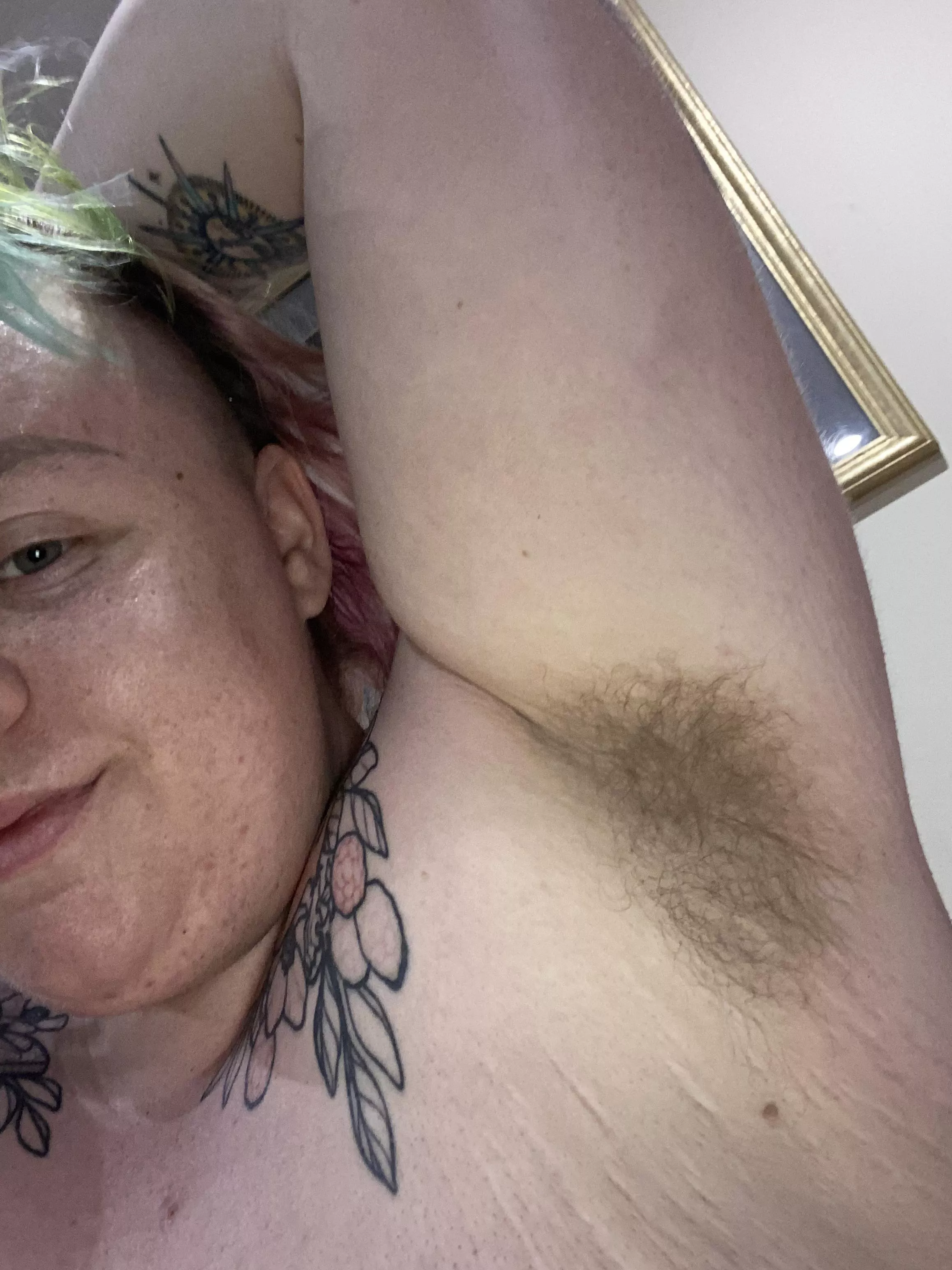 After my big walk in the Australian heat! ☀️ 💦 want a sniff?