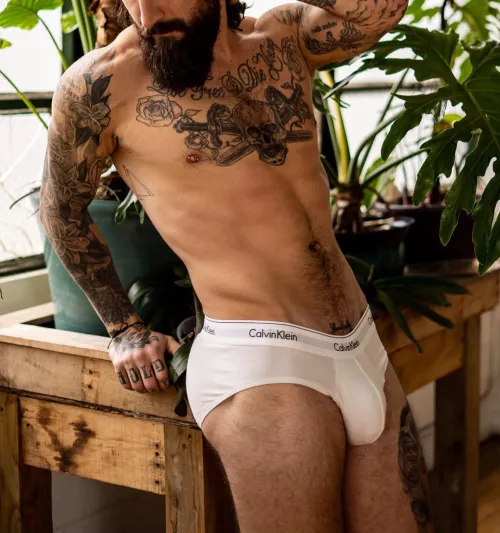 always been a calvin guy