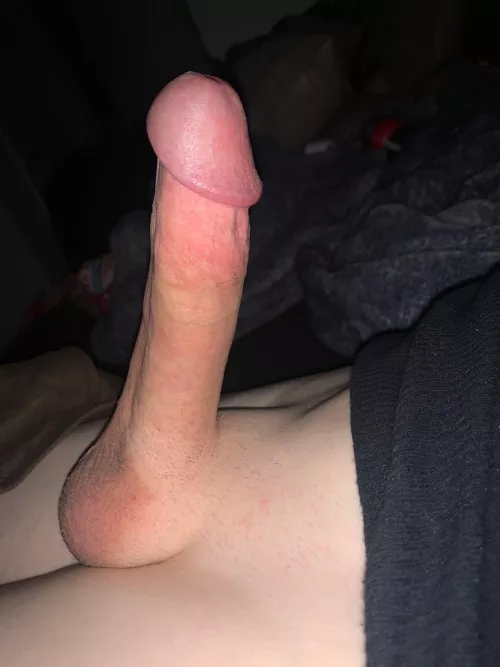 Anyone want to suck my balls?