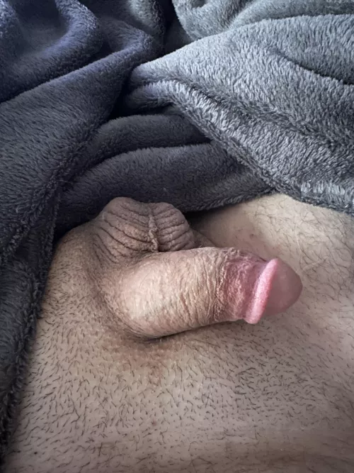 Be honest, what do u think of my softie?