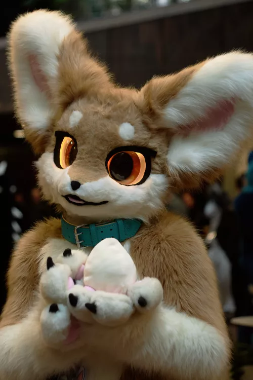 Can I offer you a nice egg in this trying time?