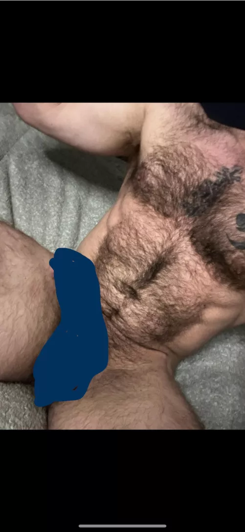Chest hair porn, not regular porn