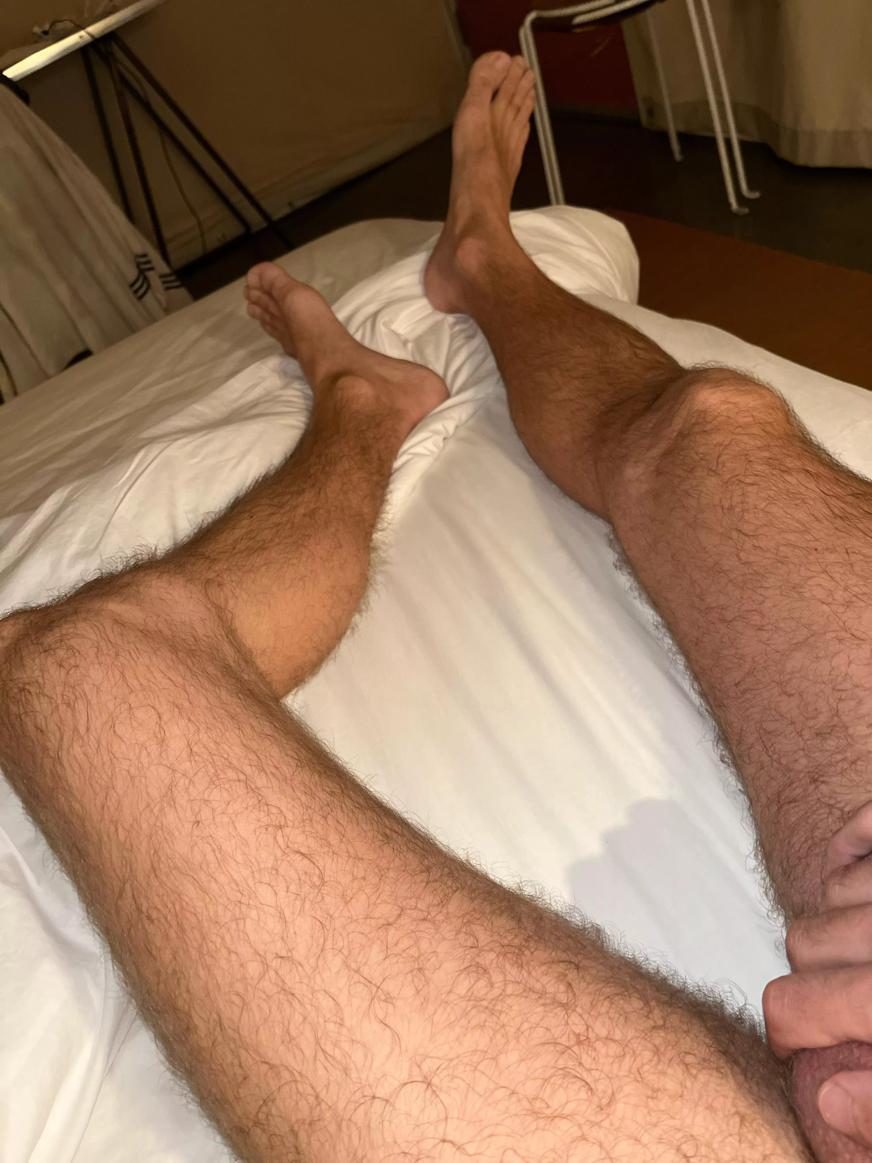 Cock compare with bets