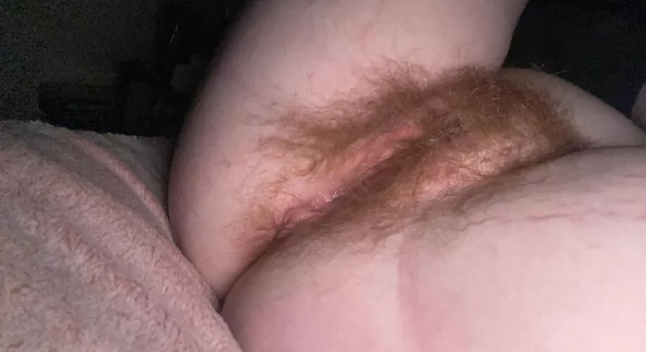 do you love gingers?