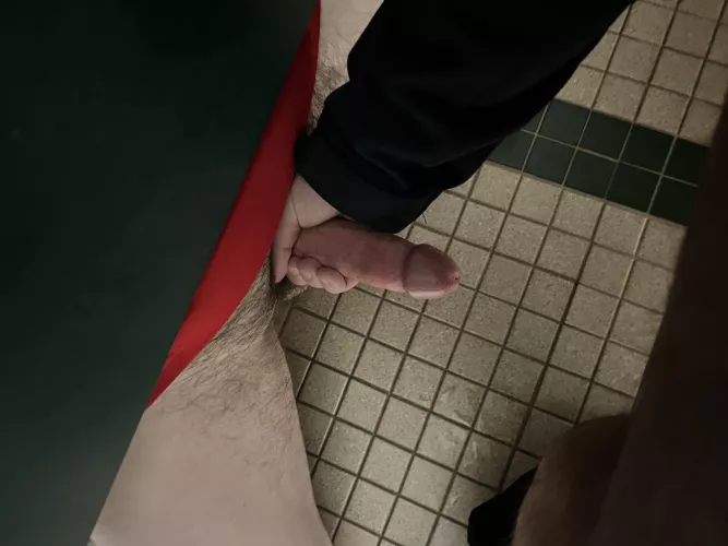 Found my new favorite bathroom on a walk today