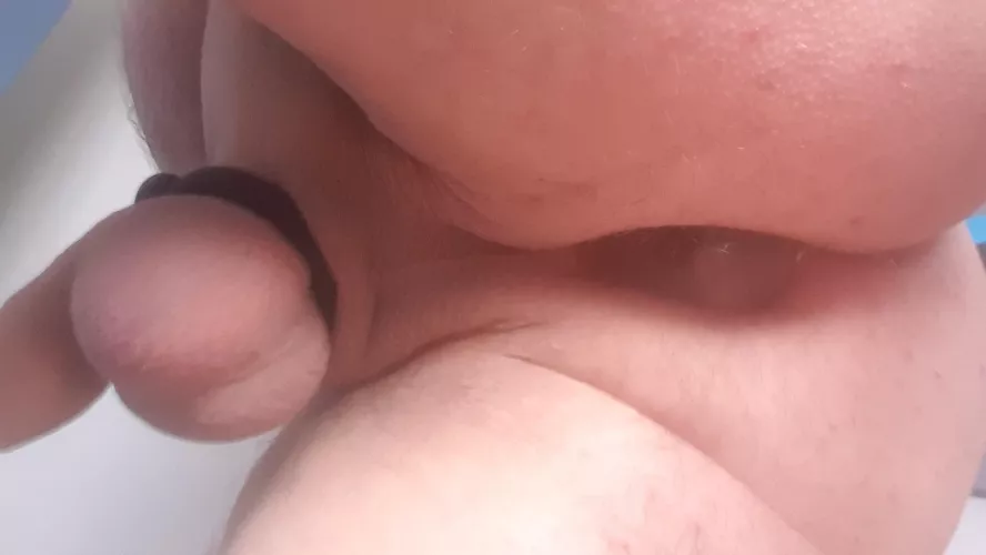 Freshly shaved, plugged, and ringed, ready for the trip to the shops.