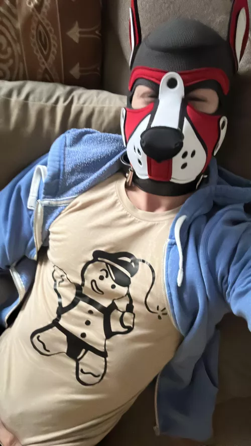 Happy hungover puppy. How’s around?