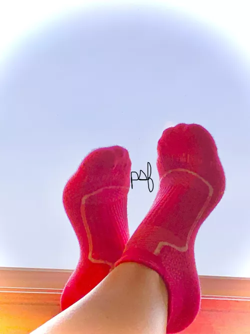 Happy Monday! 🥰 Do you like my sunny pink socks?
