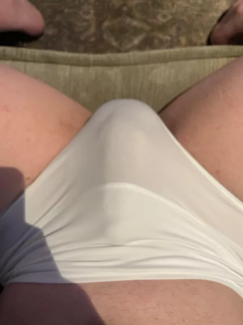 House Sitting for Neighbor